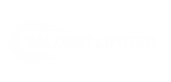 Saldest Limited